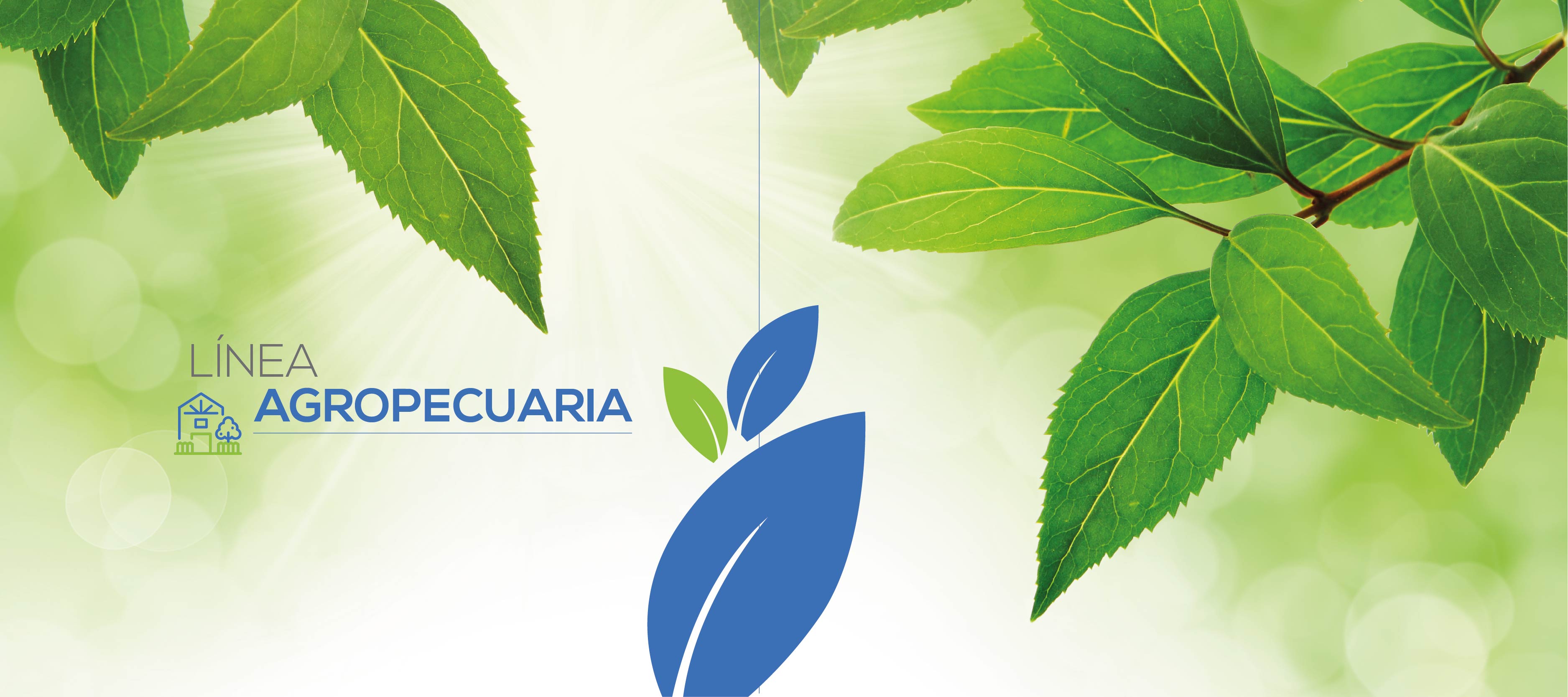 2-Slide Línea Agropecuaria